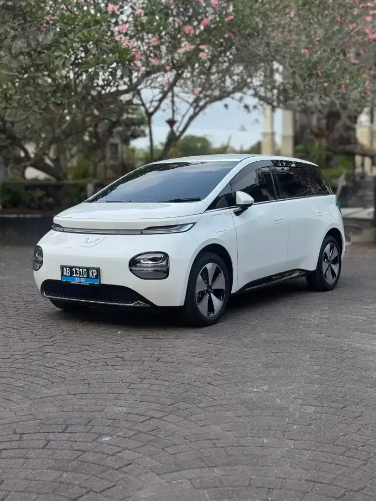 WULING CLOUD EV LONG RANGE