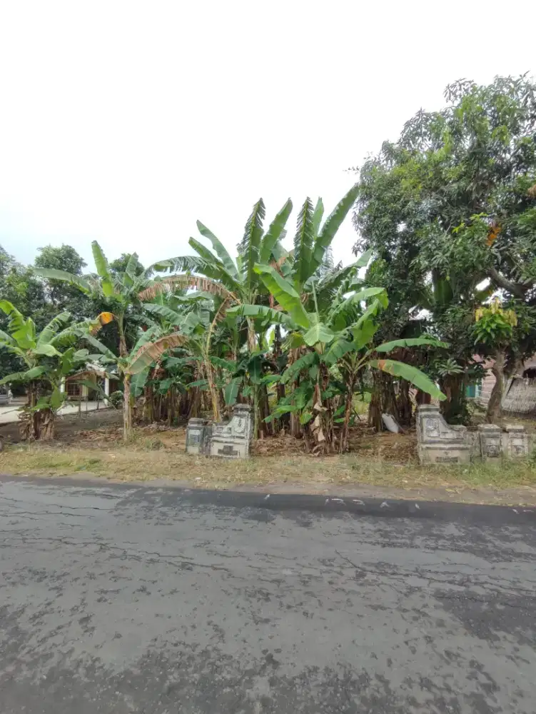 Dijual Tanah SHM di daerah Kabupaten Kediri