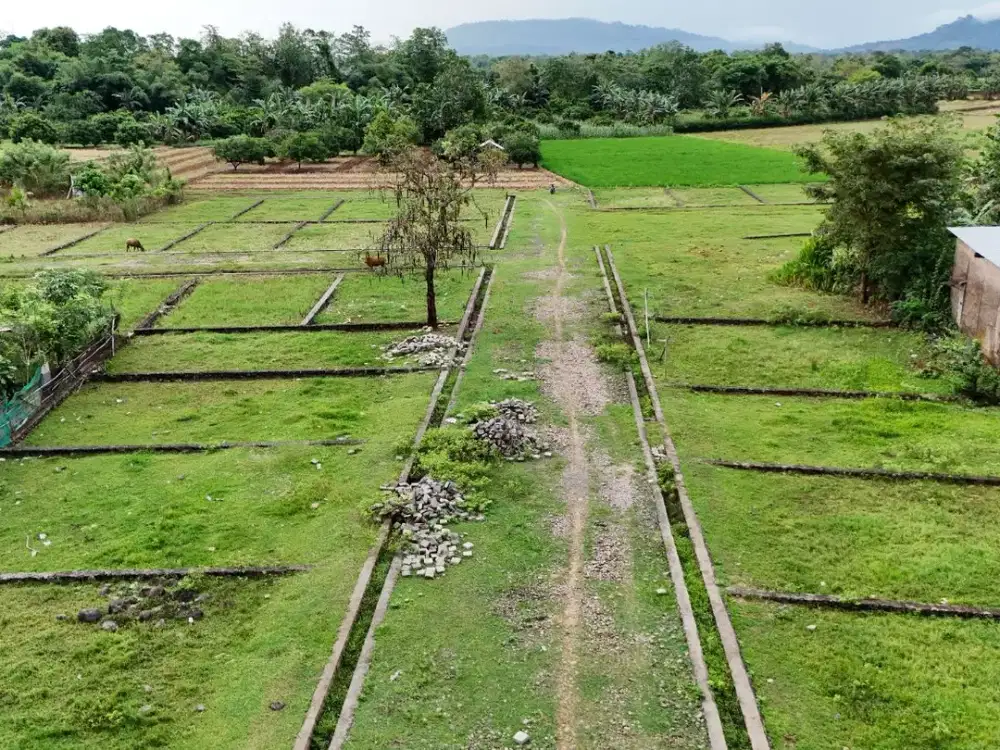Kavling Lenteng Jaya: Tanah Premium Dekat Lapangan Golf Padi Valley!
