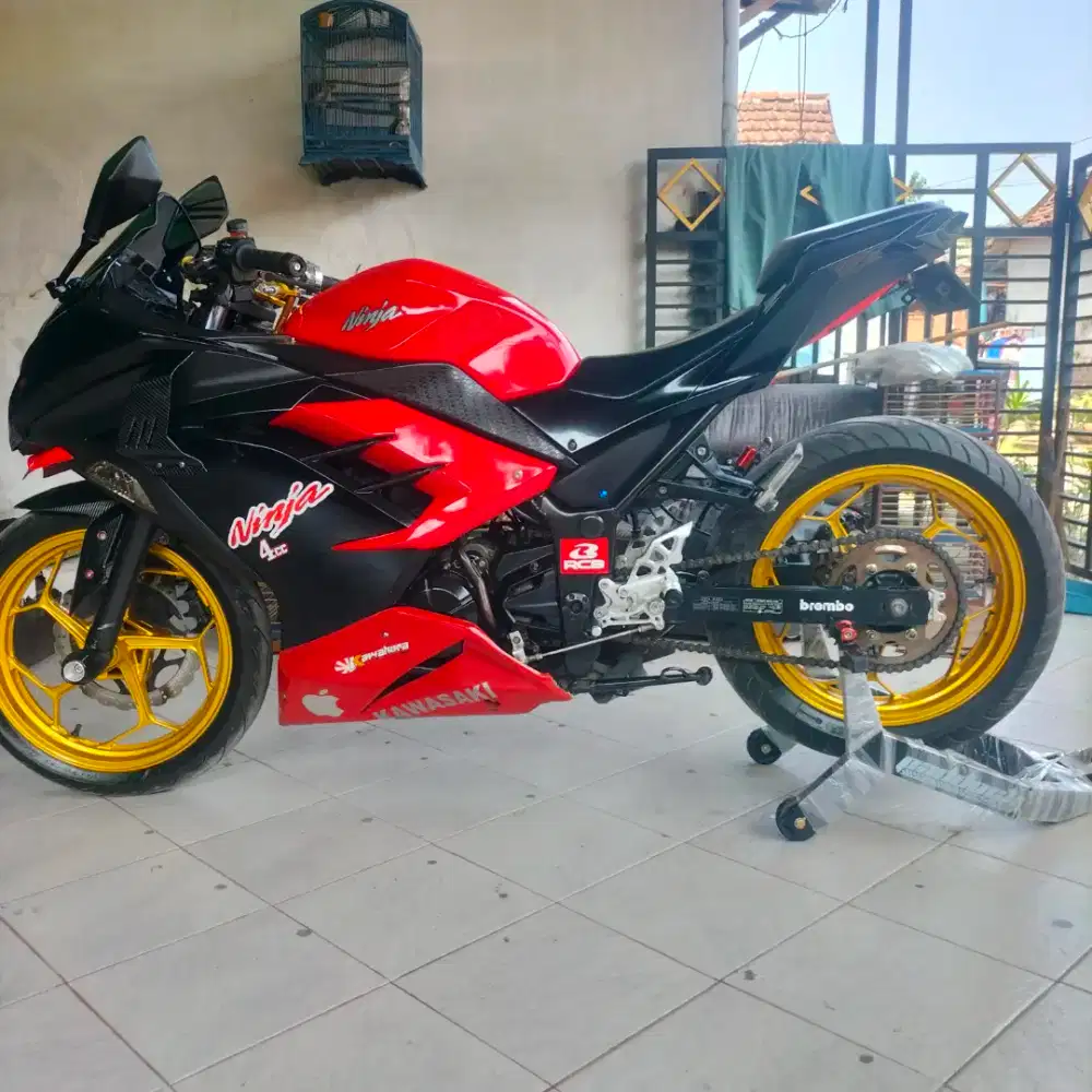 Kawasaki ninja Fi 250cc 2silinder 2015