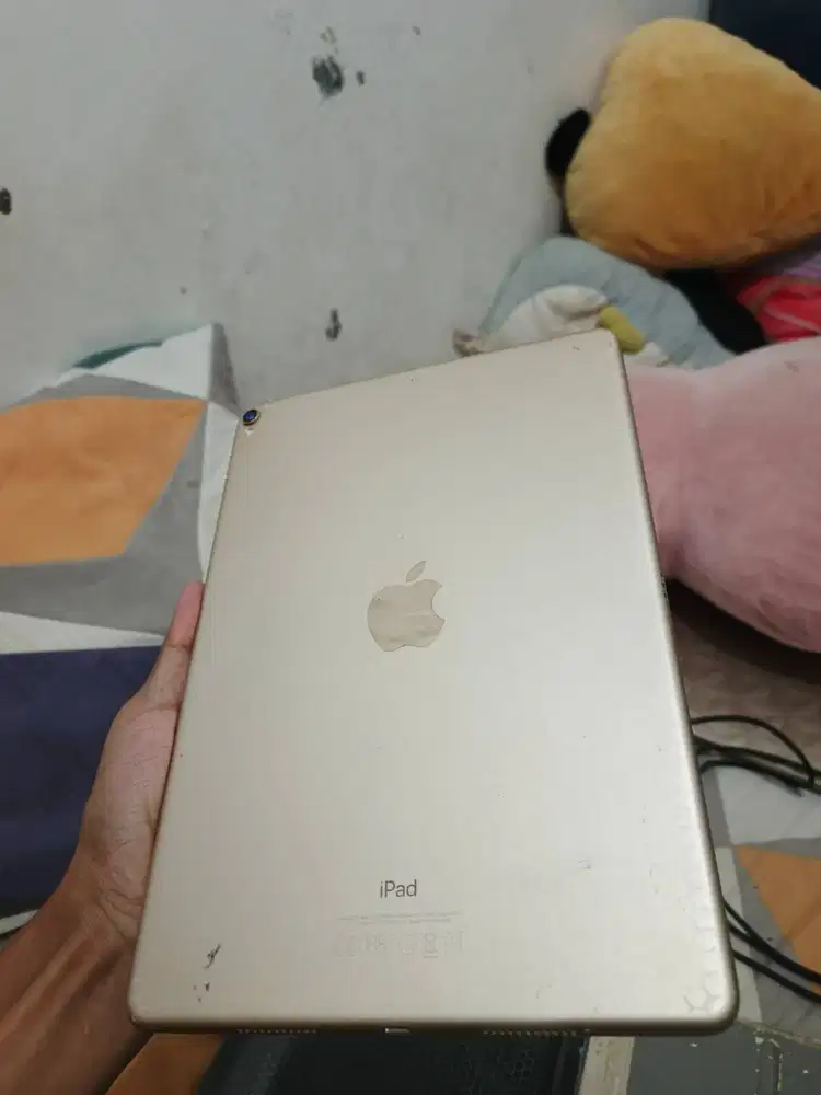 Ipad Pro 2017 & Ipad Air 2