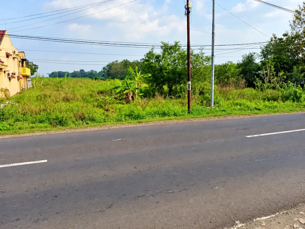 Dijual Under Market Tanah di Nol Jl Raya Mojokerto Sumobito Desa tawangsari Mojokerto