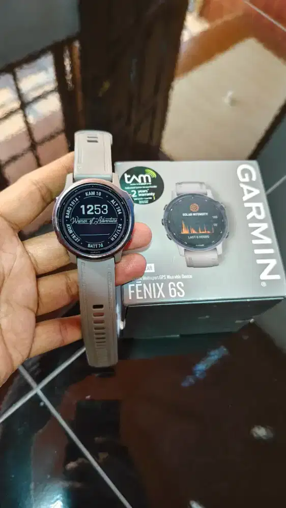 Garmin fenix 6s pro solar