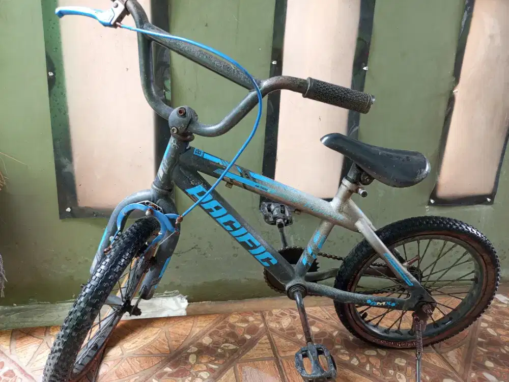 Jual sepeda anak