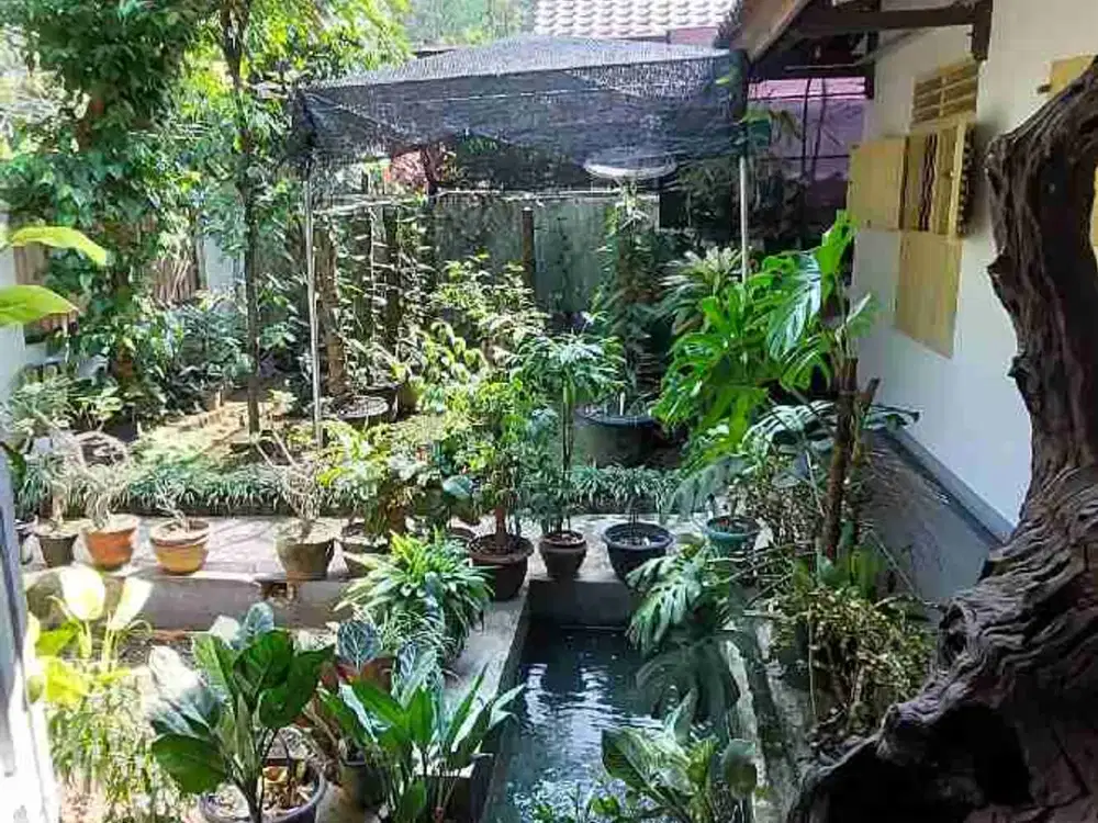Rumah murah Sempur selangkah ke Istana Bogor