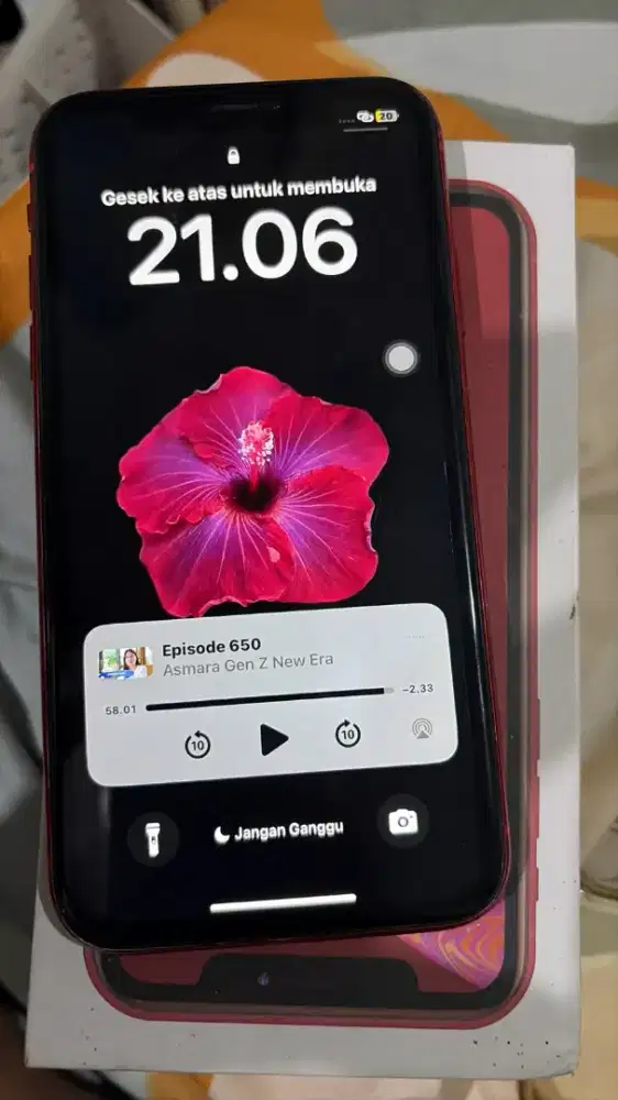 Iphone xr 256 inter beacukai