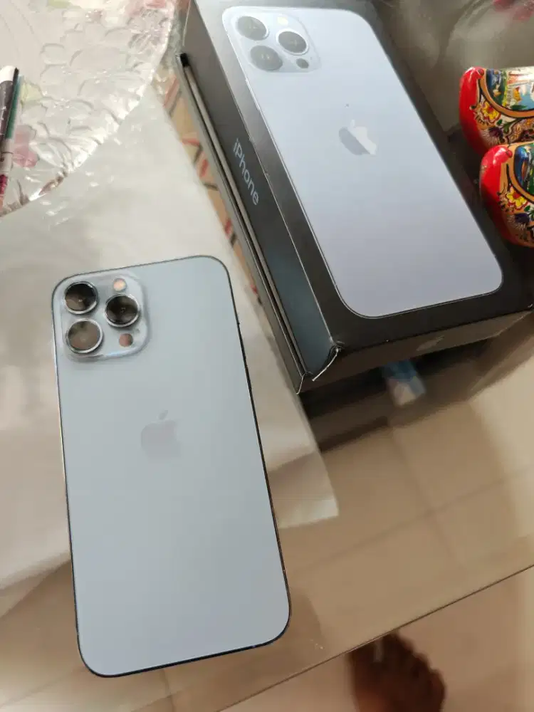 Jual Iphone 13 Pro Max 512gb