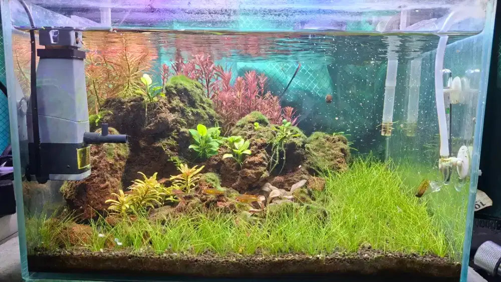 Aquascape fullset 40x30x30