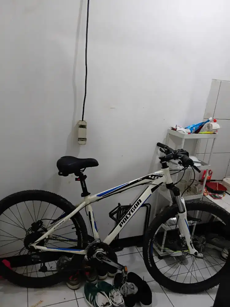 Polygon Xtrada 4.0