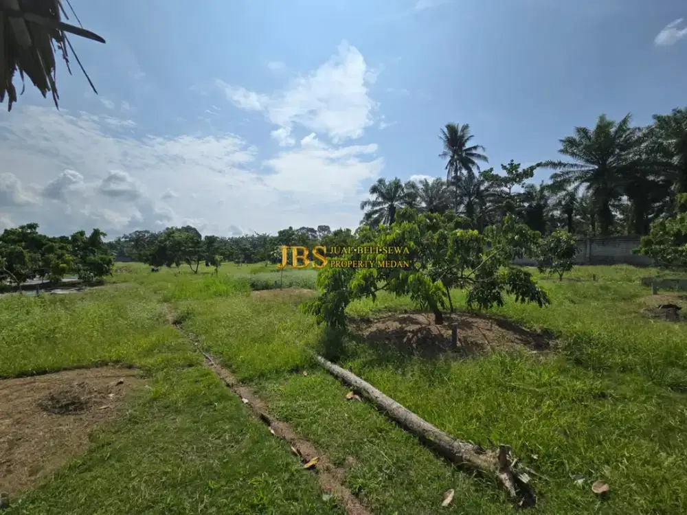 Jual Tanah Kebun Kelengkeng & Bangunan di Jalan Lintas Sumatera - Langkat