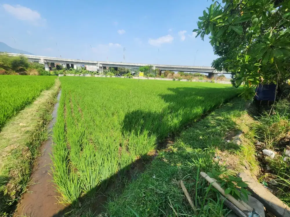 Tanah di Rancaekek - Dekat Tol, Cocok Pabrik & Gudang!
