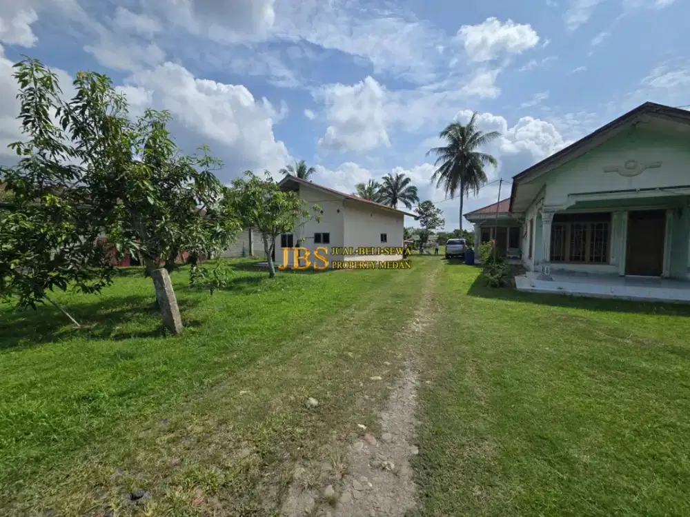 Dijual Tanah Kebun Kelengkeng & Bangunan di Jalan Lintas Sumatera - Langkat