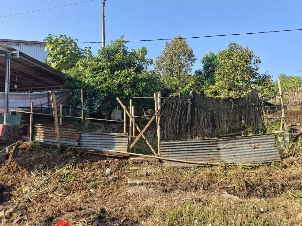 DIJUAL KEBUN DURIAN