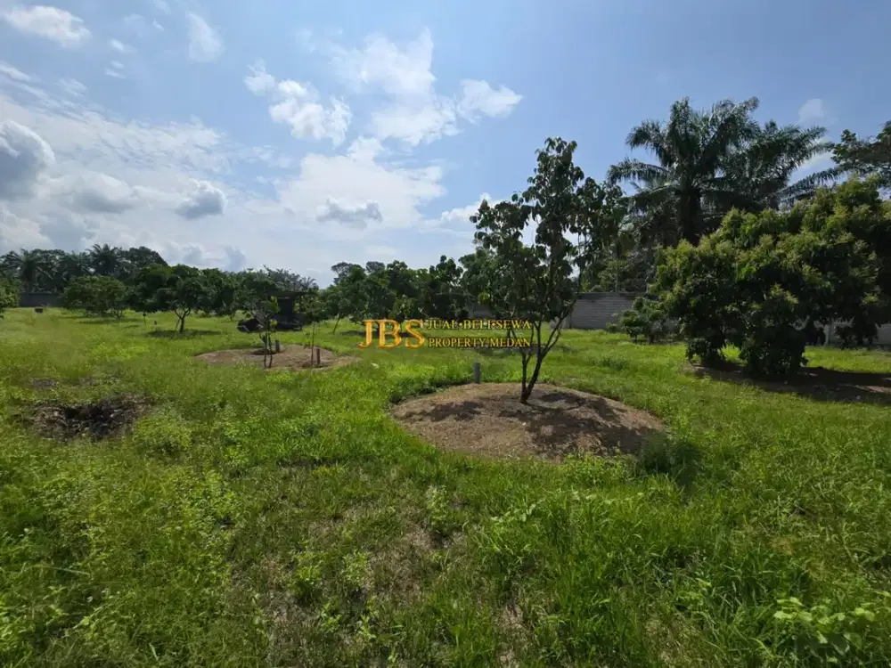 Tanah Kebun Kelengkeng & Bangunan Dijual di Jalan Lintas Sumatera - Langkat