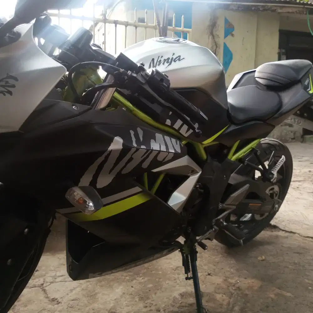 Ninja 250 SL Mono Like New