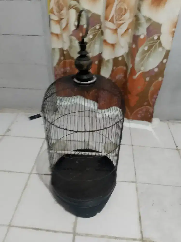 Kandang burung besi tebal