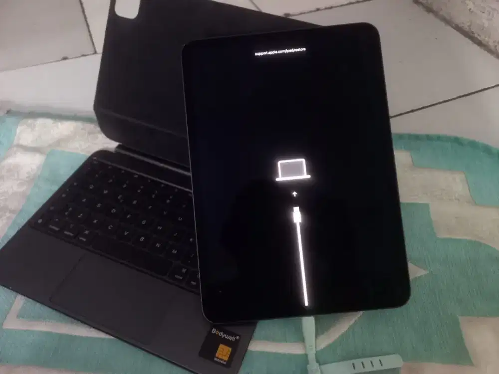 Ipad pro M4 minusan