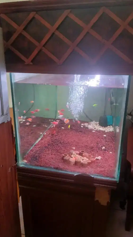Aquarium +furniturnya