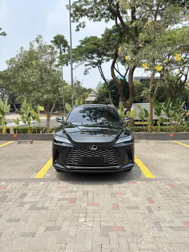 Lexus RX350 Luxury 2023 NIK 2023