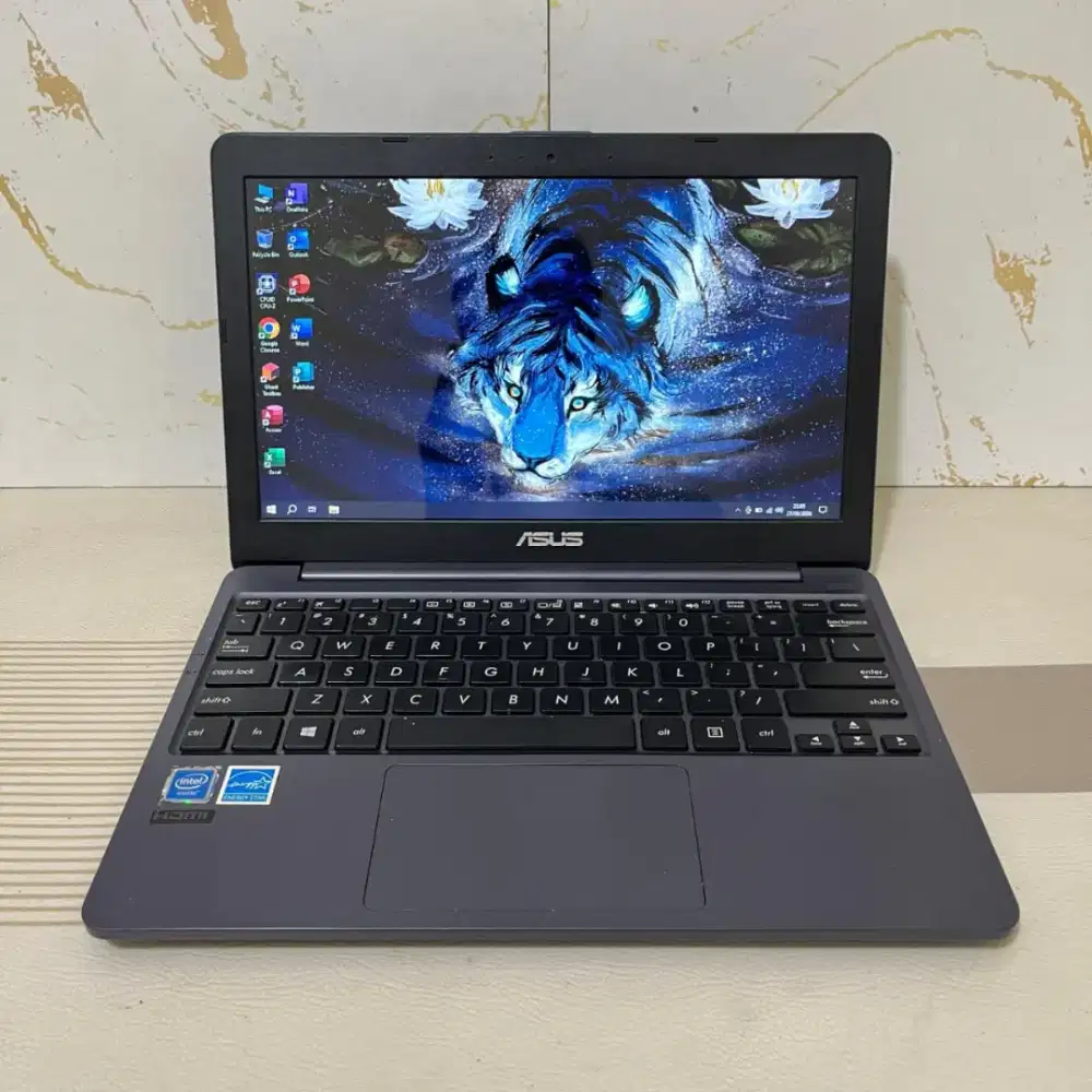 Notebook Asus E203MAH
