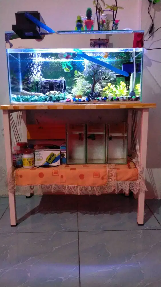 Jual akuarium tempat ikan plus meja dan