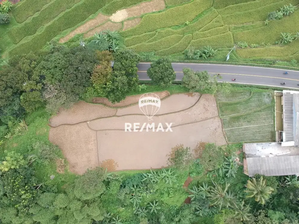 DIJUAL SAWAH DI SAWAHLEGA DAN PENGKOLAN ASEM SUMEDANG JAWA BARAT