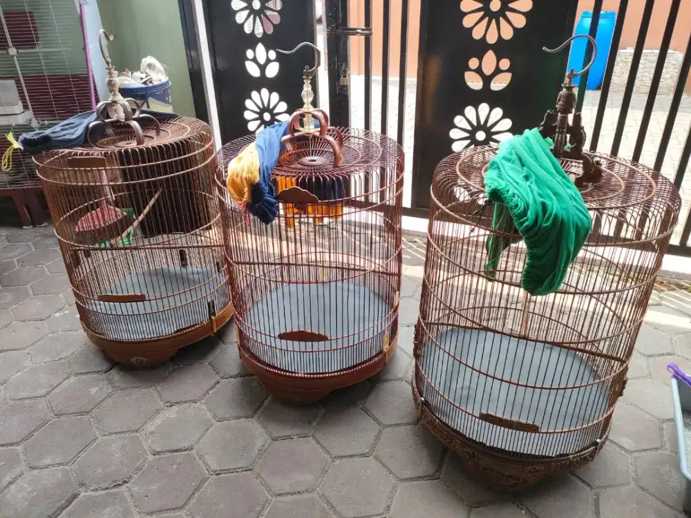 Kandang burung Masi ok