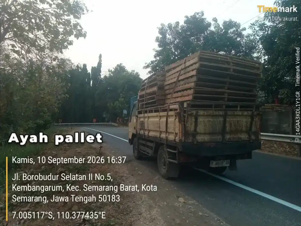 Palet kayu semarang Ayah Pallet