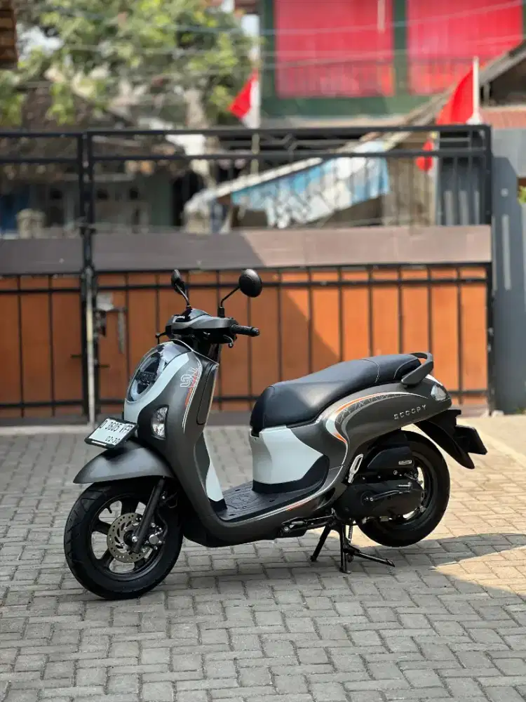 Scoopy new 2024