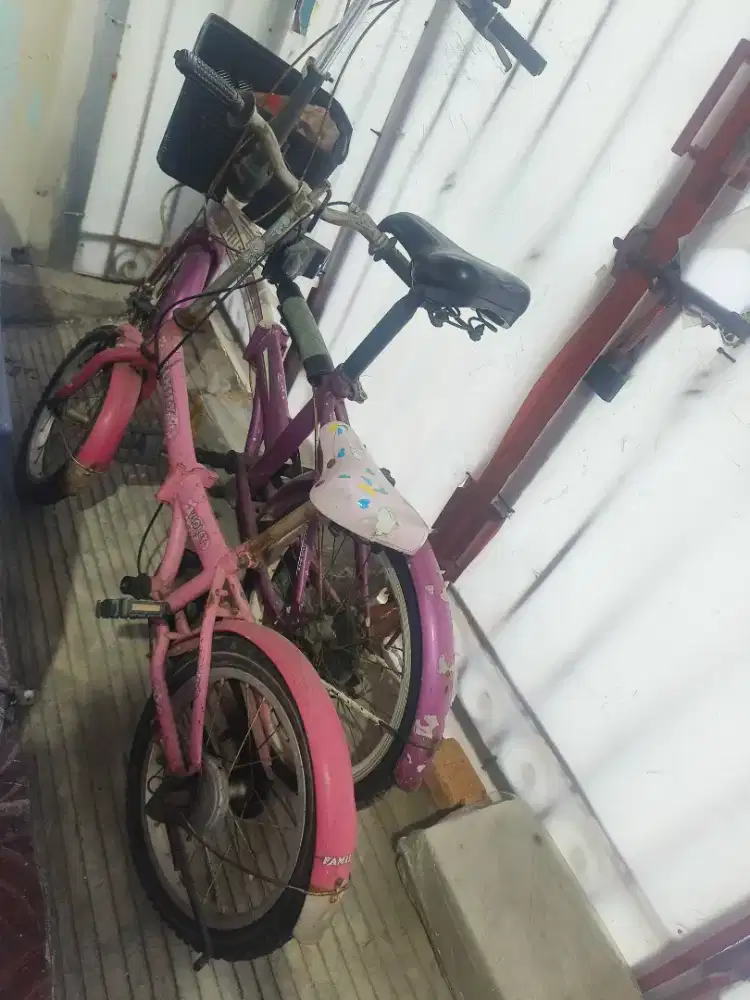 Jual dua sepeda lipat, harus beli semua