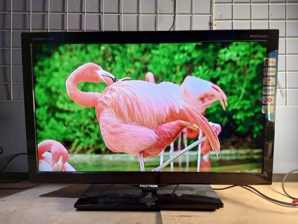 tv led polytron 24 inc analog