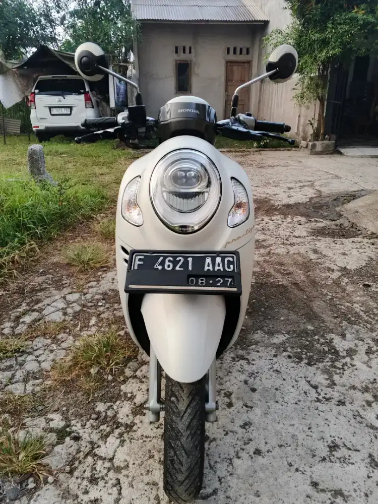 Scoopy (istimewa)