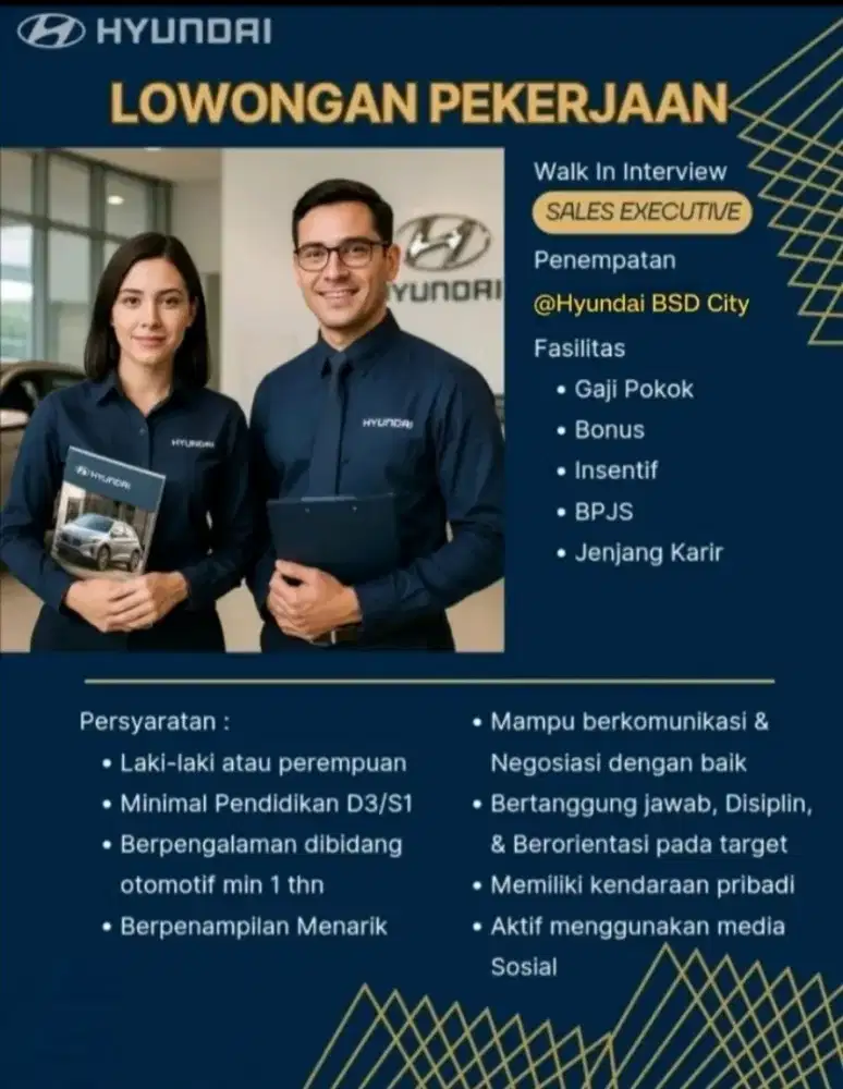 Sales Consultant Hyundai