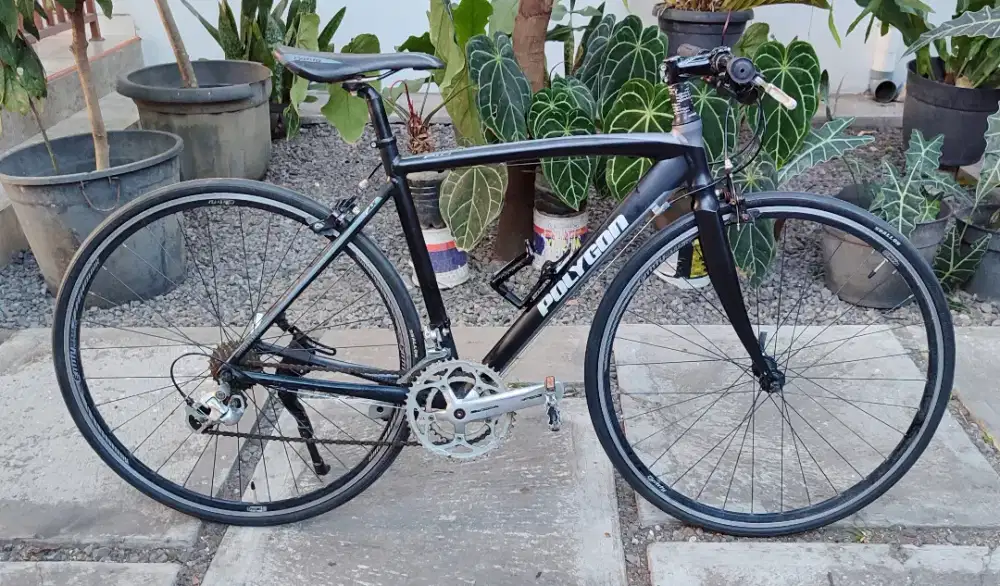 Polygon Helios F1.0 alloy size 50 BEKAS