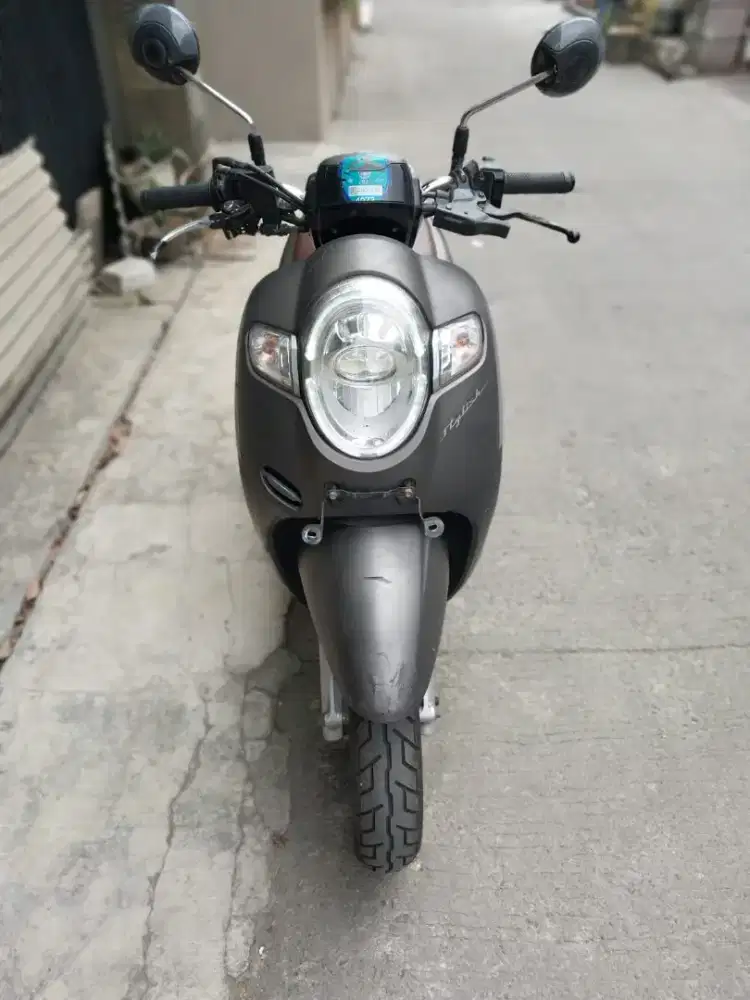 Honda scoopy 2019