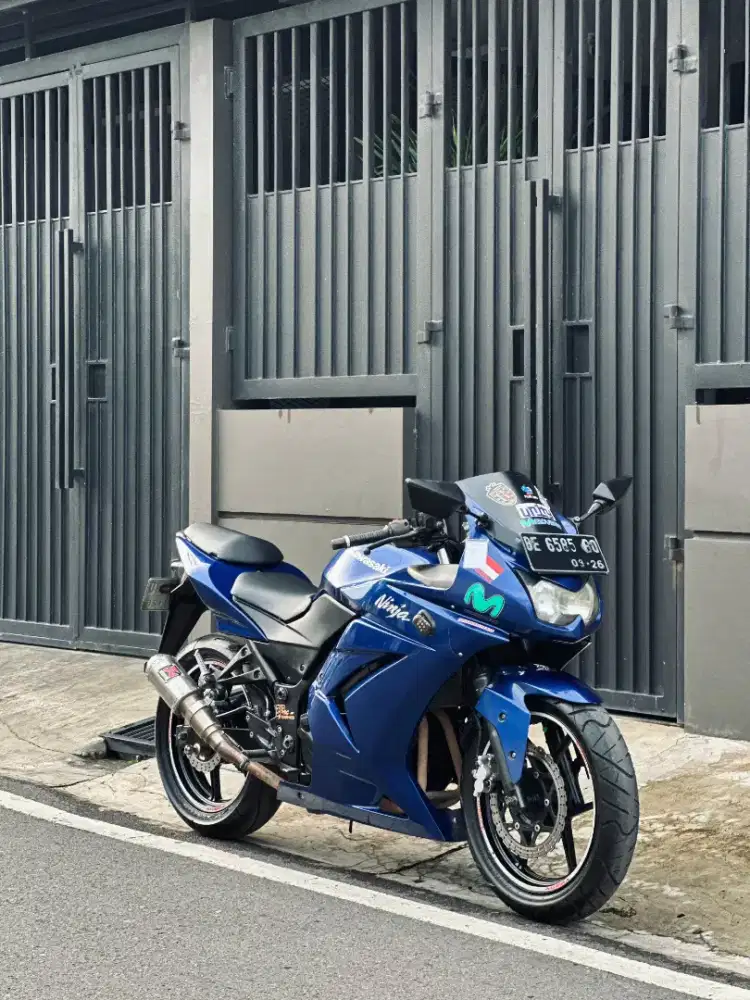 Kawasaki Ninja 250 Karbu