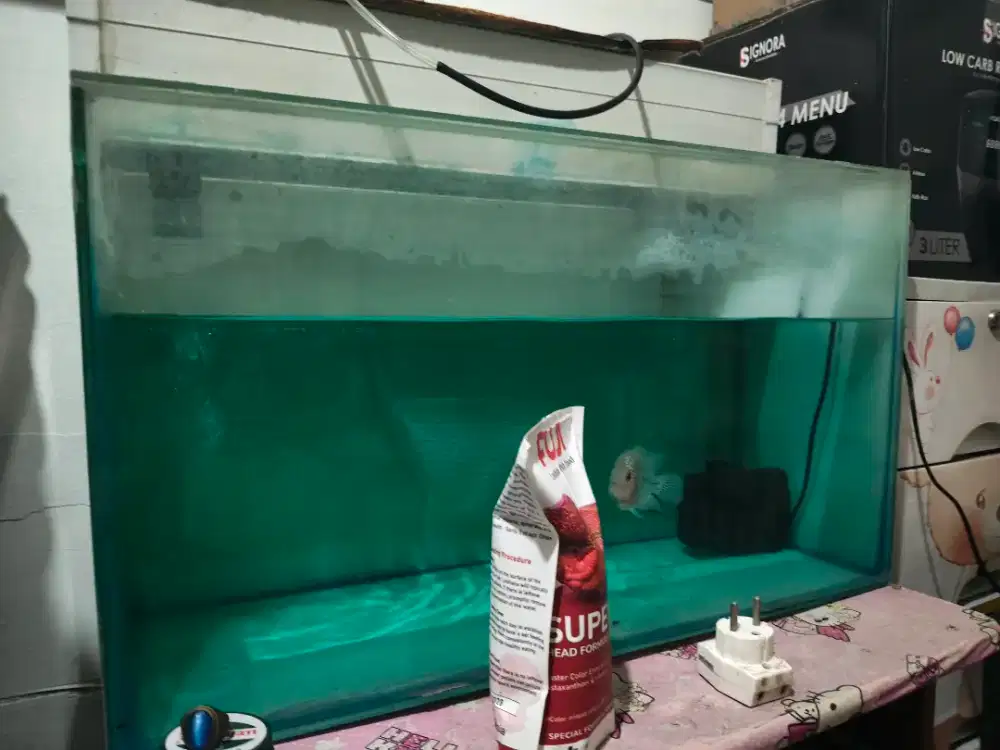Di jual aqkurium 1 set sm ikan lohan