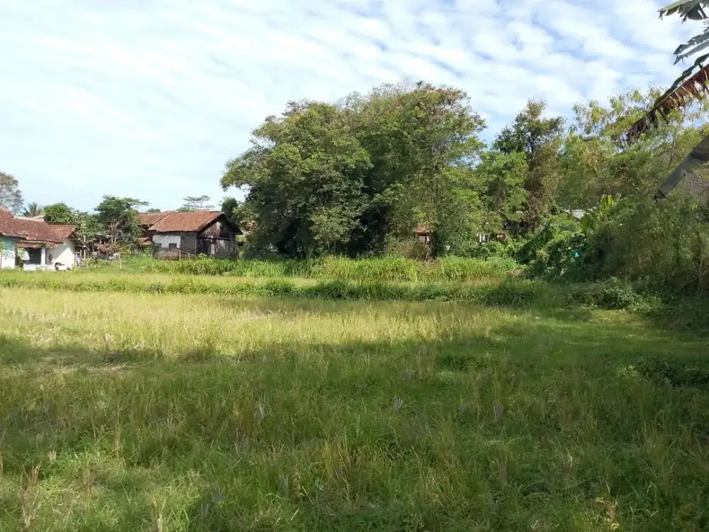 Dijual Cepat Murah dan Strategis Tanah di Pinggir Jalan Raya Ciawi Bogor