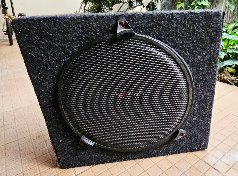 Subwoofer 12 & box