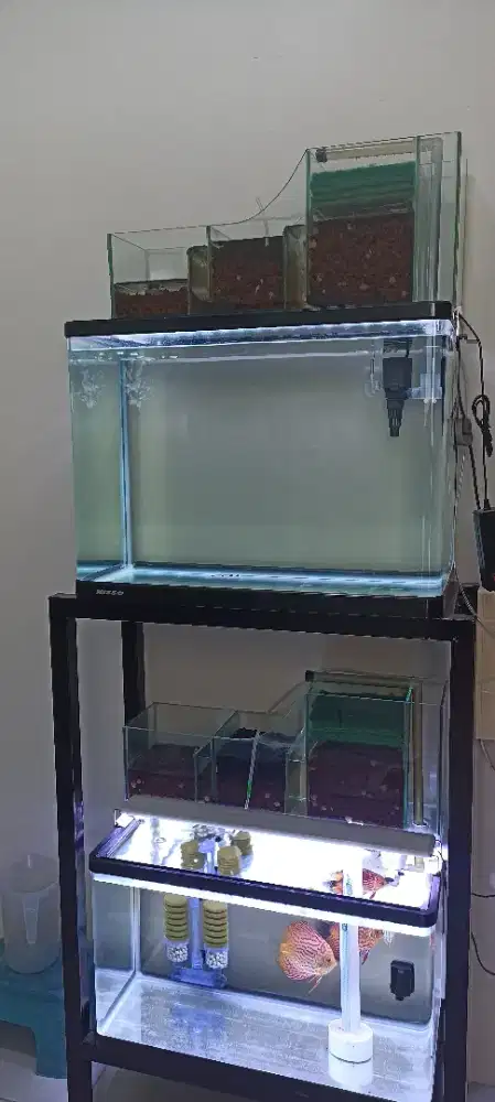 Aquarium akuarium bending nisso fullset