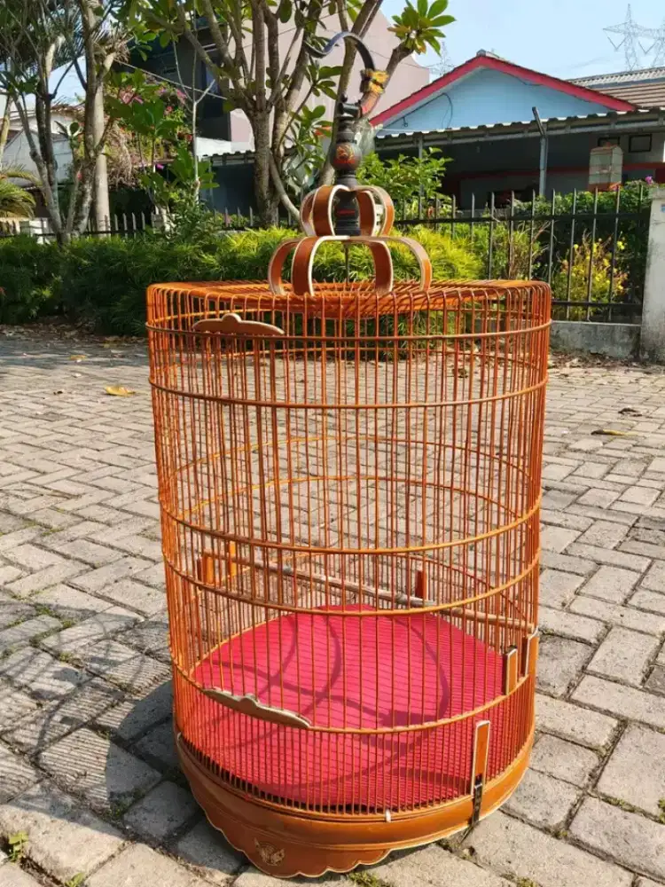 kandang murai no.2