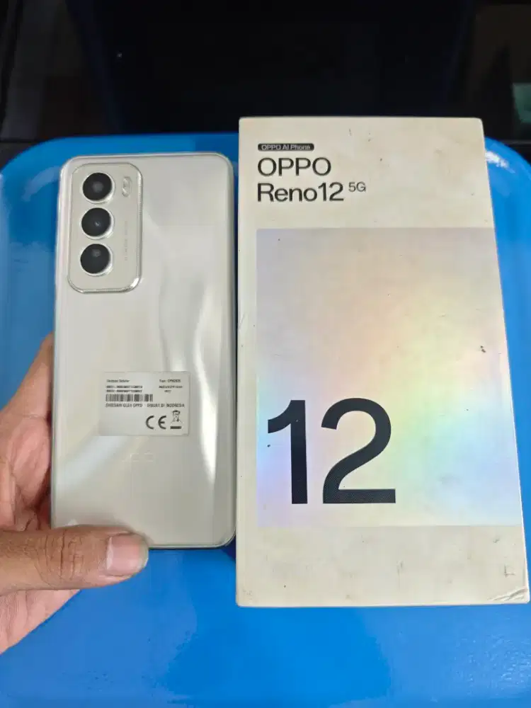 Reno 12 5G 12/256