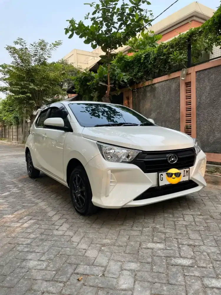 New Ayla X Manual 2023 Antik