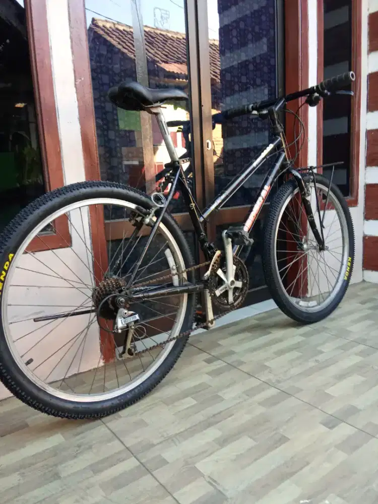 Sepeda commuter bike federal pussy cat