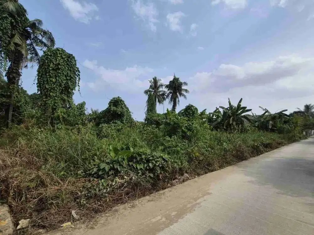 Dijual tanah di jalan wahid hasyim 2 gg sepakat 2