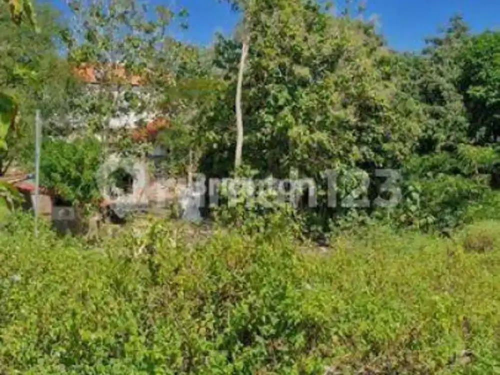 Tanah Premium 32 Are Jalan Uluwatu Unggasan, Zona Pink, SHM, Rp 700 Juta/Are