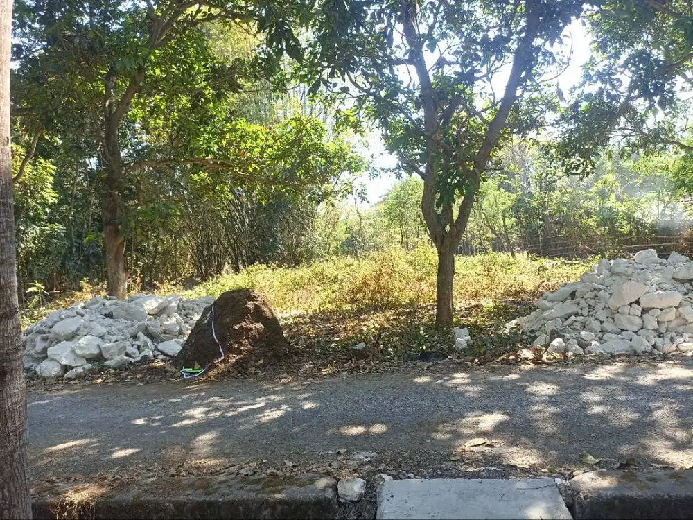 Tanah Suramadu Bangkalan Labang, strategis dekat pangpong morkepek