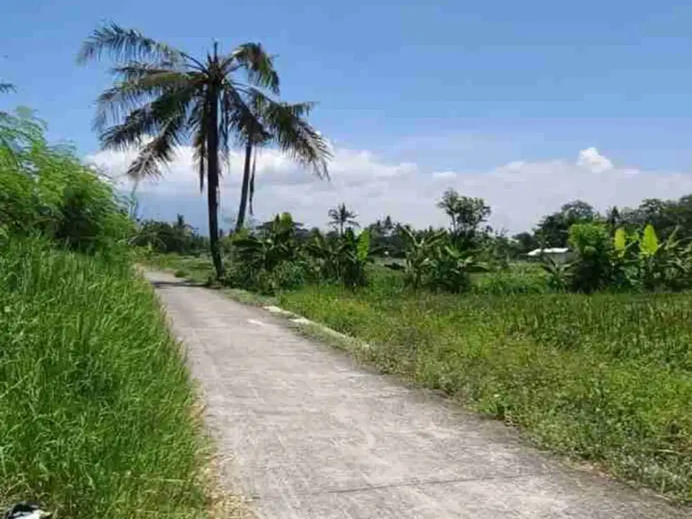 Tanah dijogja jual murah