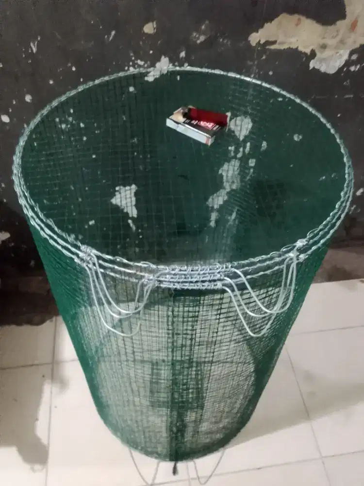 umbaran murai masih baru ga jadi pake