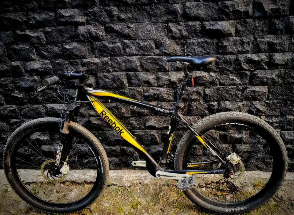 SEPEDA MTB REEBOK